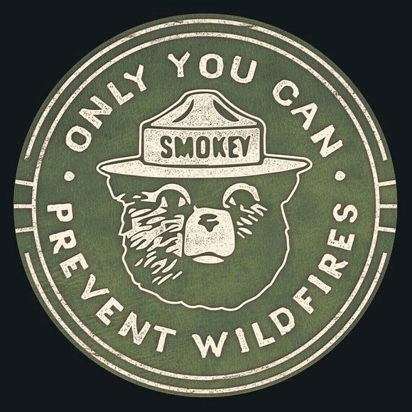 Old School "Only You Can Prevent Wildfires" Smokey the Bear Metal Aluminum Sign - Picture 1 of 1